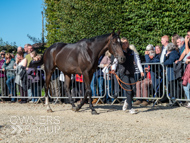 PN280925-99 - Len